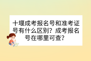 十堰成考報名號和準(zhǔn)考證號有什么區(qū)別？成考報名號在哪里可查？