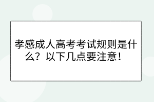孝感成人高考考試規(guī)則是什么？以下幾點要注意！
