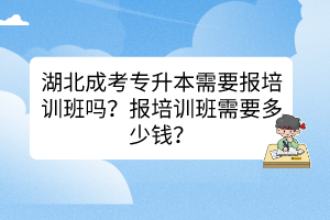 湖北成考專升本需要報培訓(xùn)班嗎？報培訓(xùn)班需要多少錢？