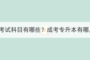 湖北成考專升本考試科目有哪些？成考專升本有哪幾種學(xué)習(xí)方式？