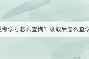 湖北成考學(xué)號(hào)怎么查詢(xún)？錄取后怎么查學(xué)籍？