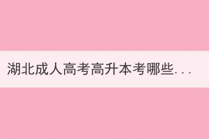 湖北成人高考高升本考哪些科目？