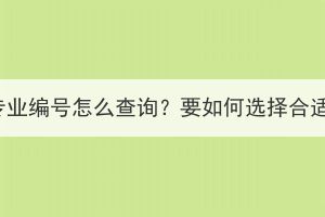 湖北大學(xué)成教專(zhuān)業(yè)編號(hào)怎么查詢(xún)？要如何選擇合適的專(zhuān)業(yè)報(bào)考？
