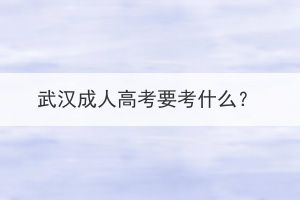 武漢成人高考要考什么？