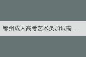 鄂州成人高考藝術(shù)類加試需要自帶考試工具嗎？