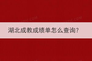 湖北成教成績單怎么查詢？