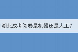 湖北成考閱卷是機(jī)器還是人工？