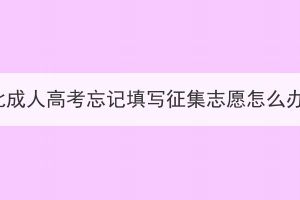 湖北成人高考忘記填寫征集志愿怎么辦？