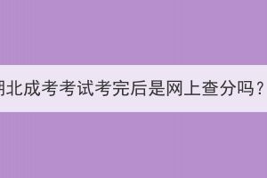 湖北成考考試考完后是網(wǎng)上查分嗎？