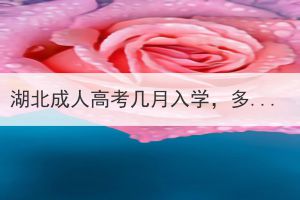 湖北成人高考幾月入學(xué)，多久可以拿到本科證？