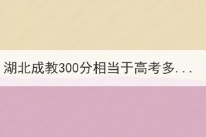 湖北成教300分相當于高考多少分？