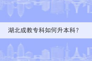湖北成教?？迫绾紊究?？