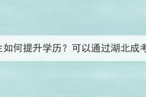 高中生如何提升學(xué)歷？可以通過湖北成考嗎？