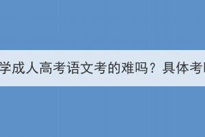 武漢理工大學(xué)成人高考語文考的難嗎？具體考哪些內(nèi)容？