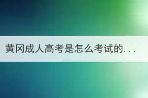 黃岡成人高考是怎么考試的？一年可以考幾次？