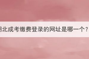 湖北成考繳費(fèi)登錄的網(wǎng)址是哪一個(gè)？
