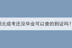 湖北成考還沒畢業(yè)可以查的到證嗎？