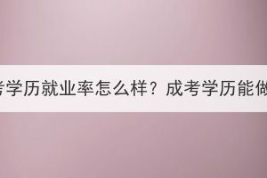 湖北成考學(xué)歷就業(yè)率怎么樣？成考學(xué)歷能做什么？