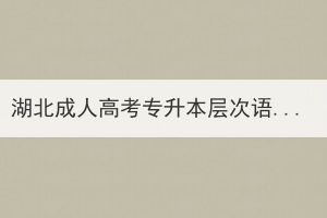 湖北成人高考專升本層次語文單選題練習(xí)