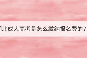 湖北成人高考是怎么繳納報名費的？