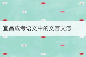 宜昌成考語文中的文言文怎么理解，有什么技巧嗎？