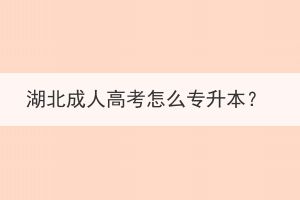 湖北成人高考怎么專升本？
