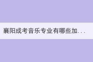 襄陽(yáng)成考音樂(lè)專業(yè)有哪些加試安排？如何備考？