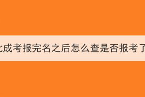 湖北成考報完名之后怎么查是否報考了？