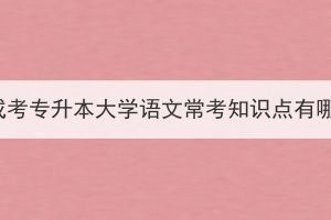 湖北成考專升本大學(xué)語(yǔ)文?？贾R(shí)點(diǎn)有哪些？