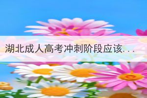 湖北成人高考沖刺階段應(yīng)該做到哪幾點(diǎn)？