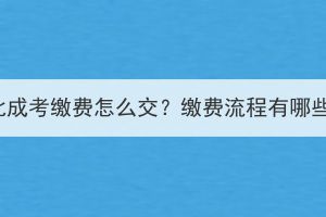 湖北成考繳費(fèi)怎么交？繳費(fèi)流程有哪些？