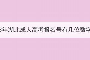 2023年湖北成人高考報名號有幾位數(shù)字？