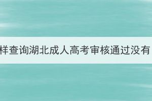 怎樣查詢湖北成人高考審核通過沒有？