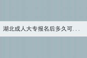 湖北成人大專報名后多久可以查學(xué)籍？