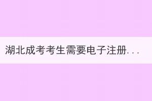 湖北成考考生需要電子注冊(cè)備案表做什么？
